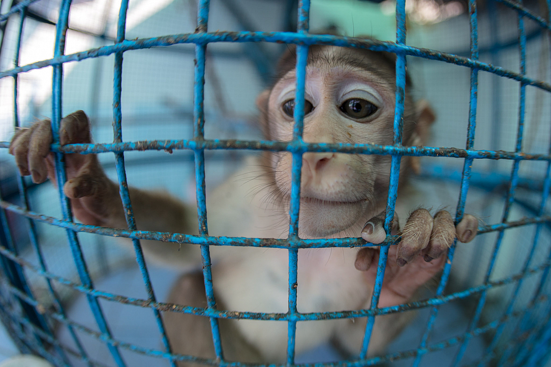 20180131095806 017836