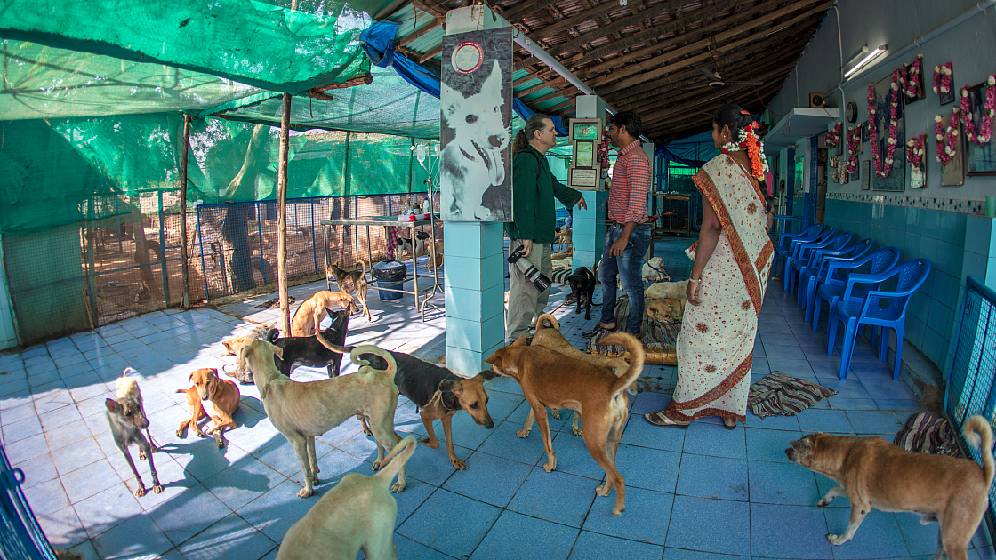 20180131101041 017899