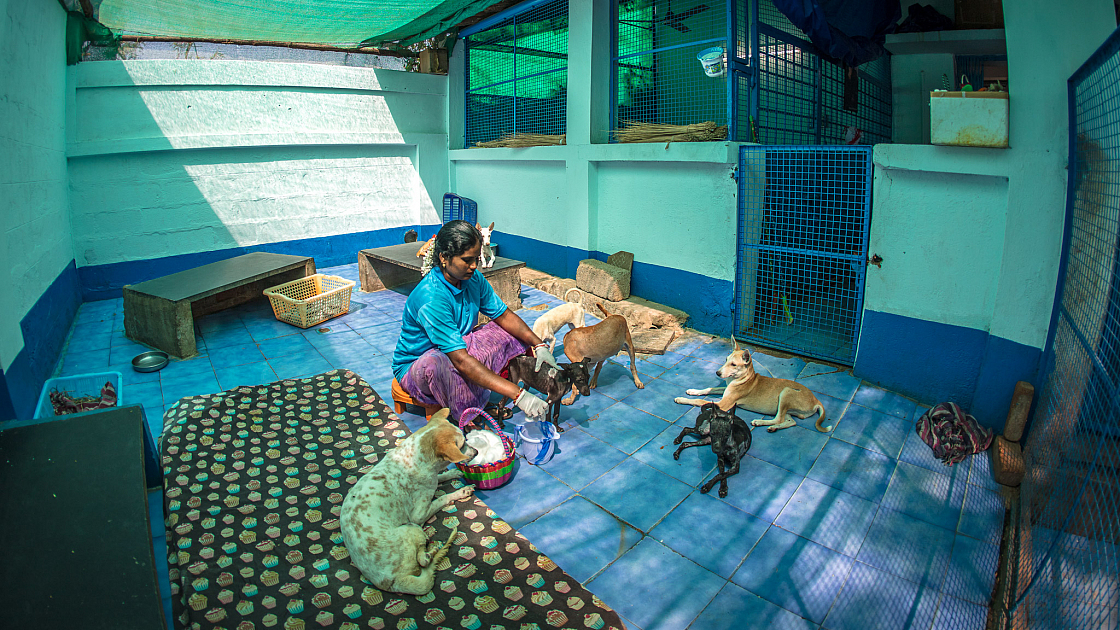 20180131111237 018353