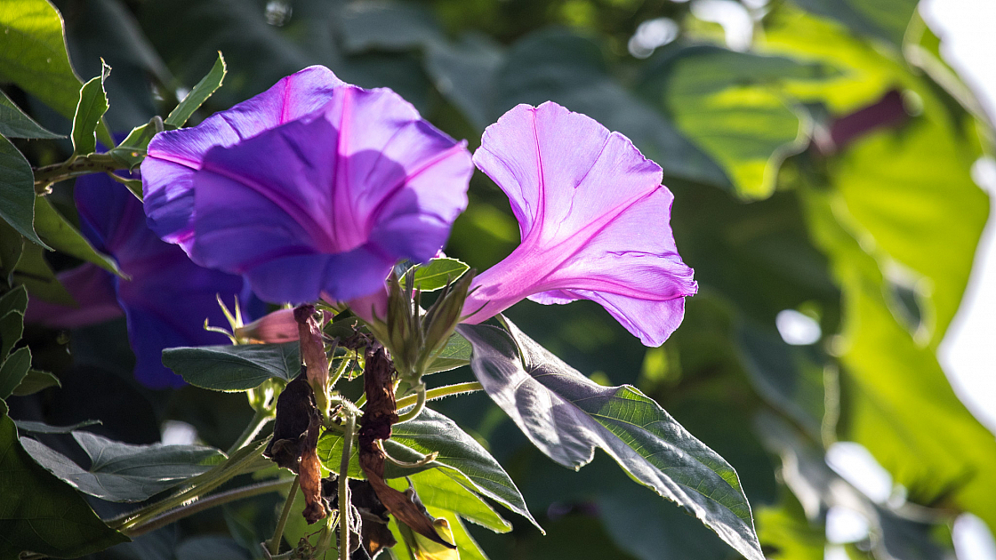 20180923175941 9081-2