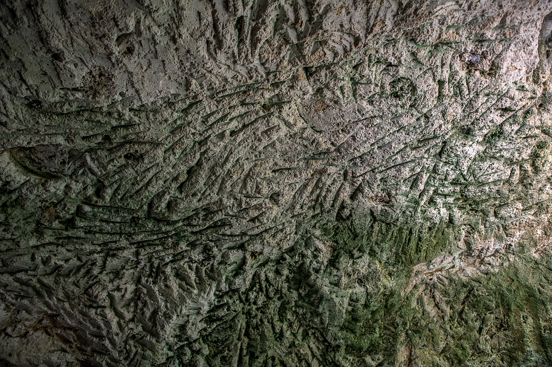 20180609155356 101102