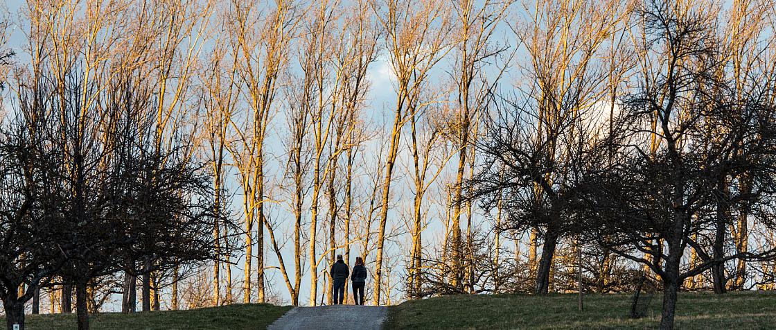 20190310174713 0209-2