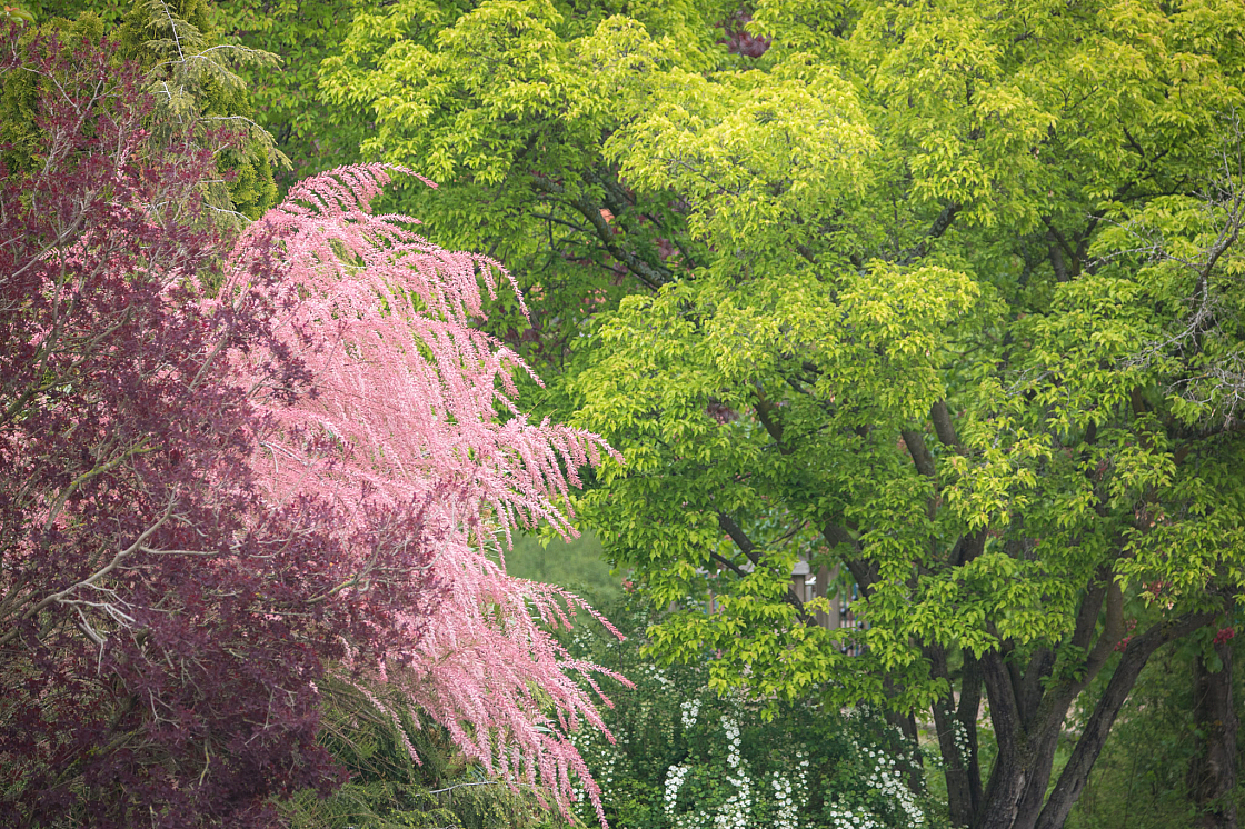 20190505100227 1663