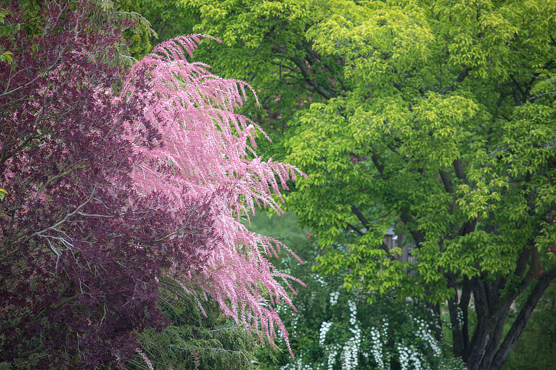 20190505102519 1674