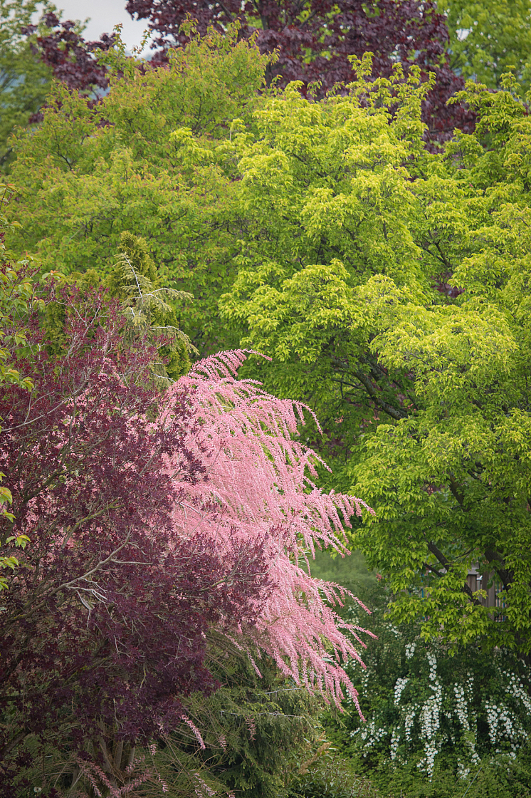 20190505102528 1678