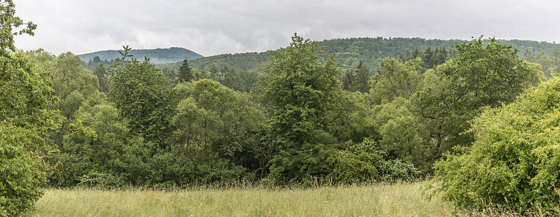 20190610185609 pano