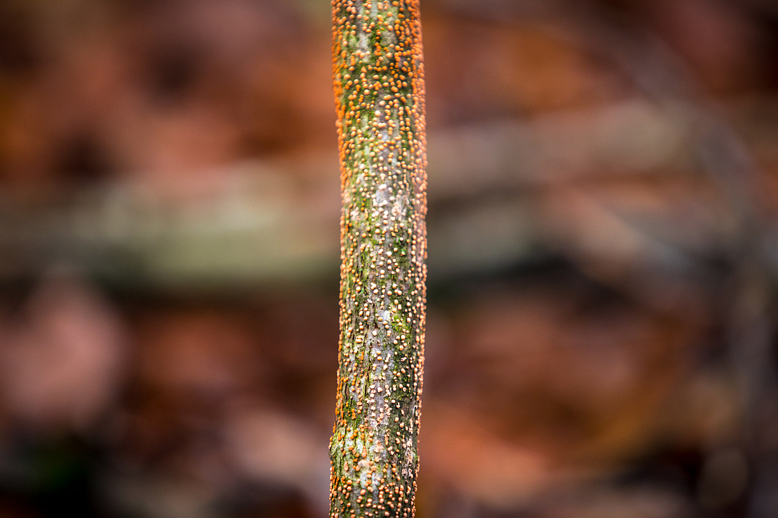 20191110130441 5887