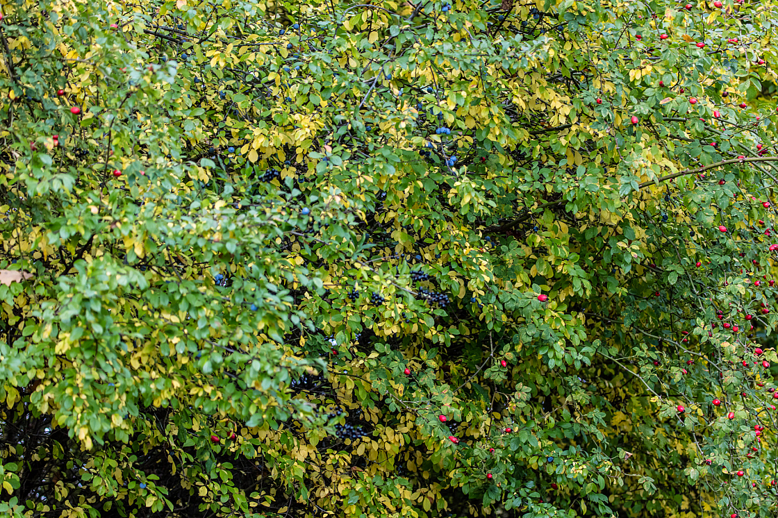 20201011115037 012900