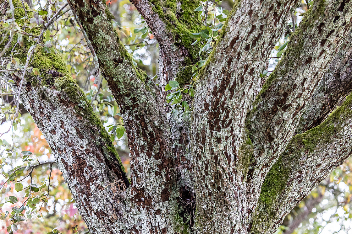 20201011115810 012922