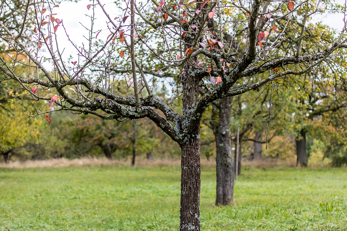 20201011120051 012931