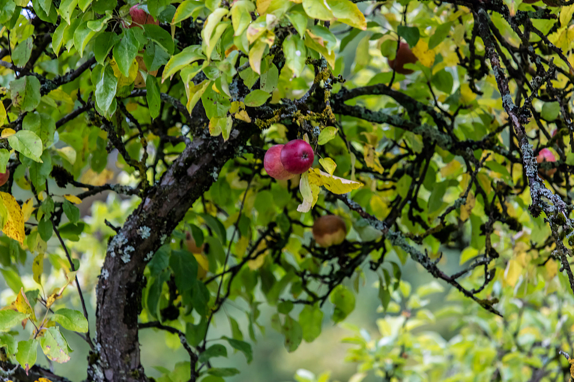 20201011120744 013008