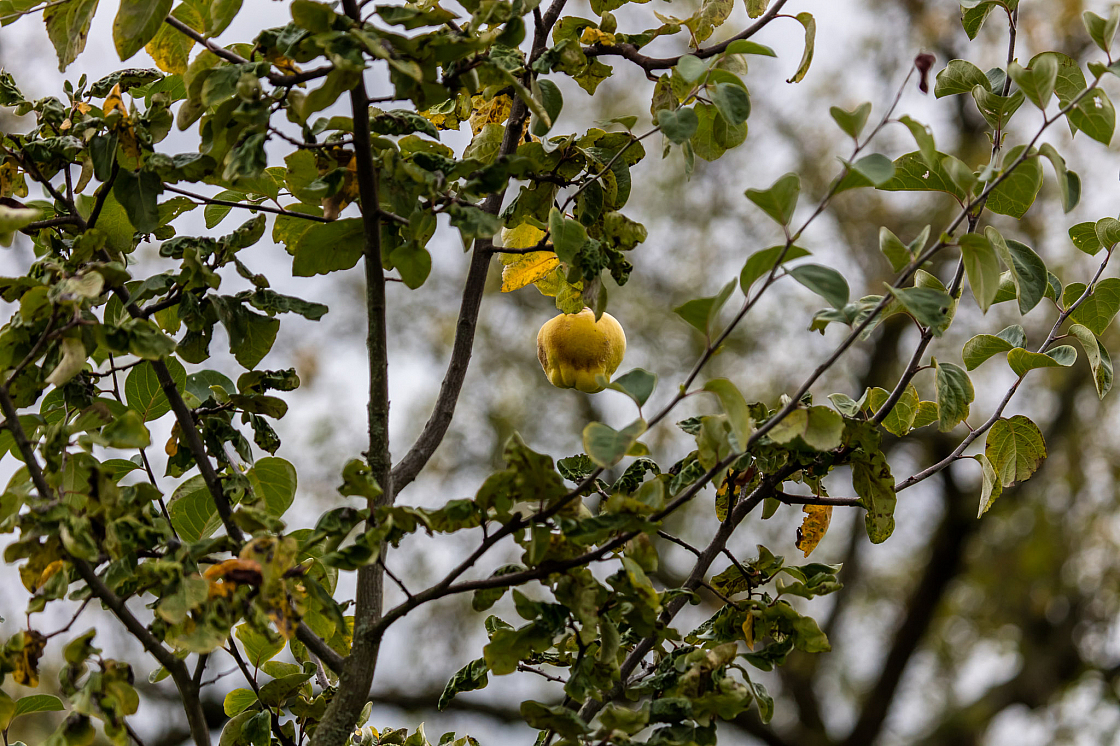 20201011120830 013017