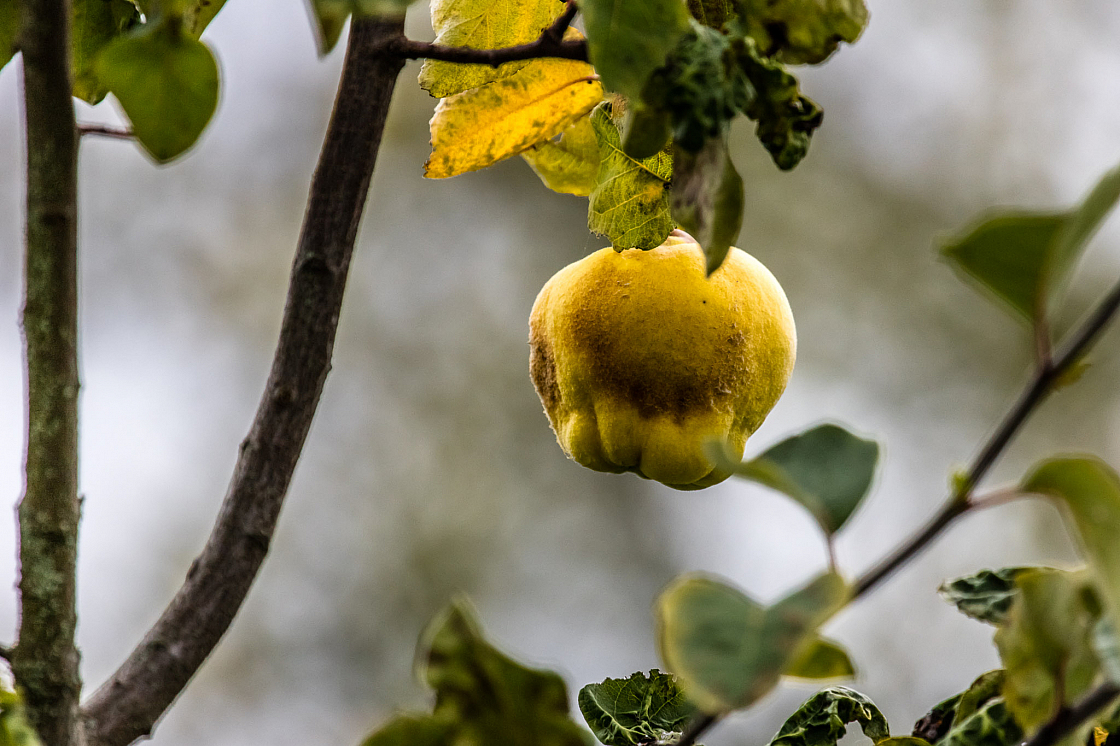 20201011120836 013024