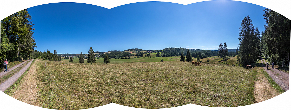 20200806121207 pano2