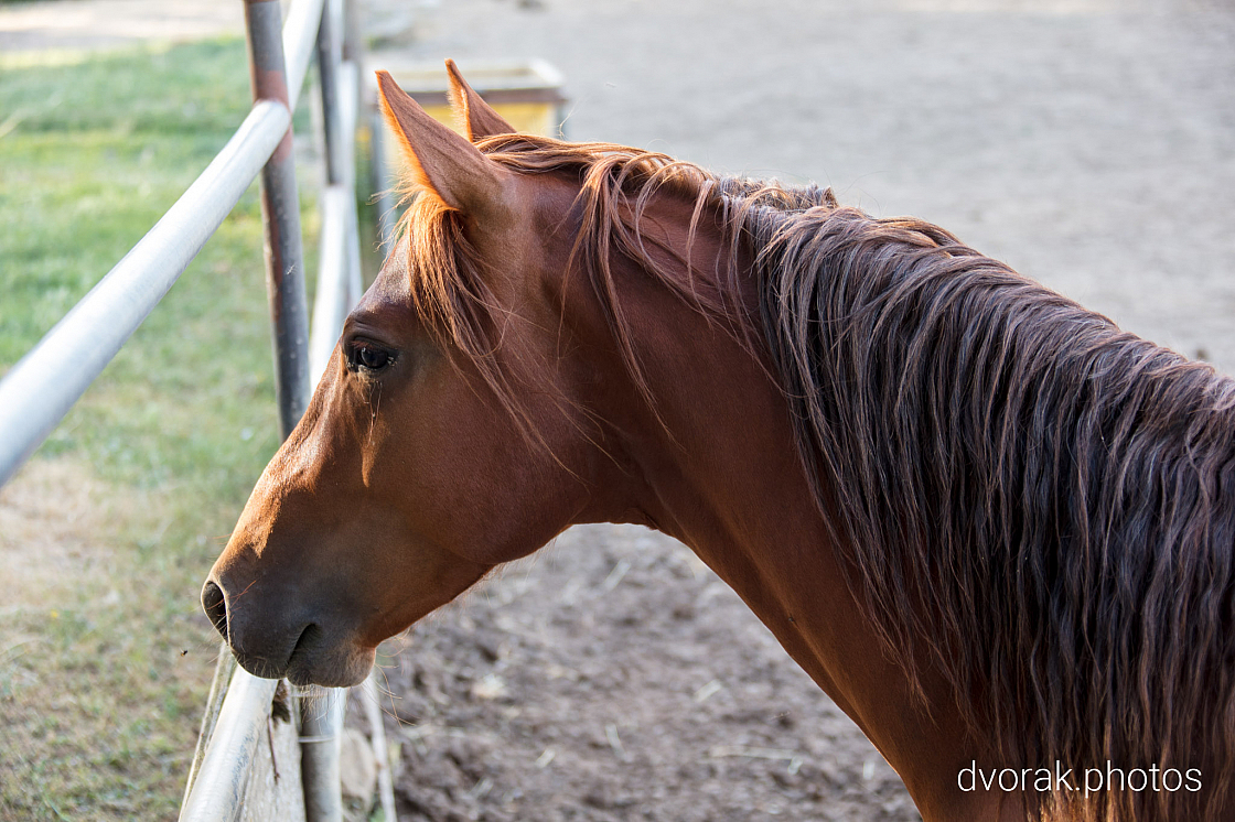 20220606192718 018875