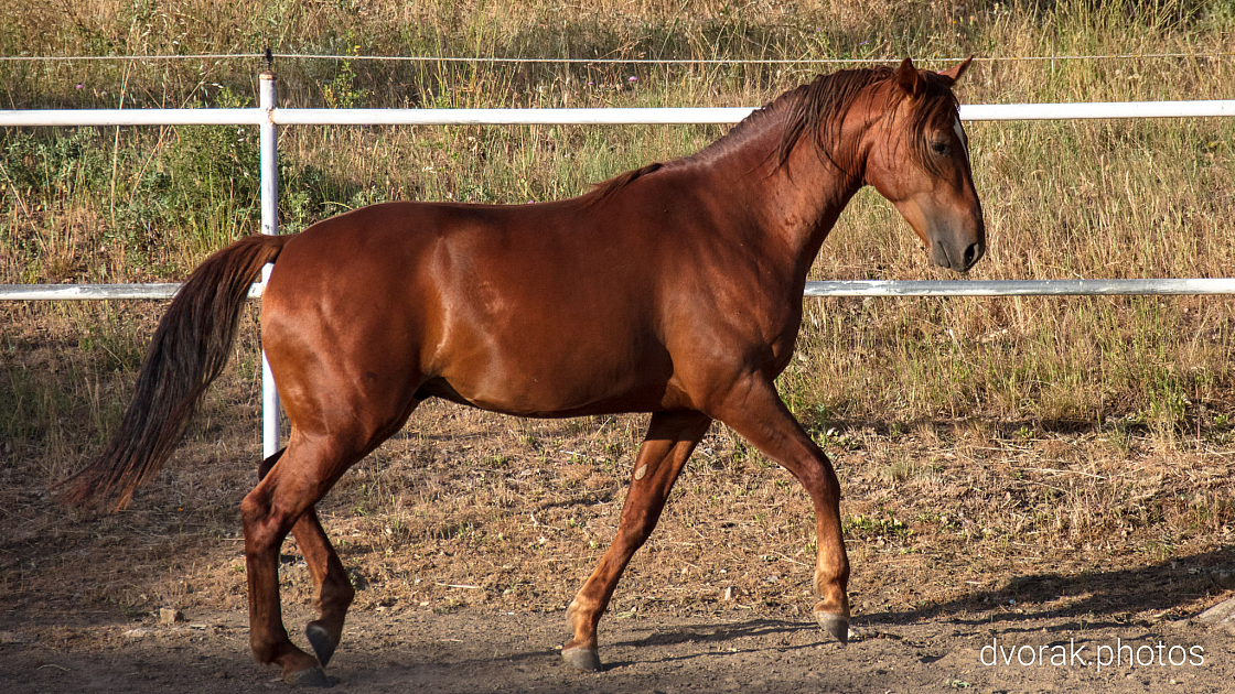 20220606192809 018888