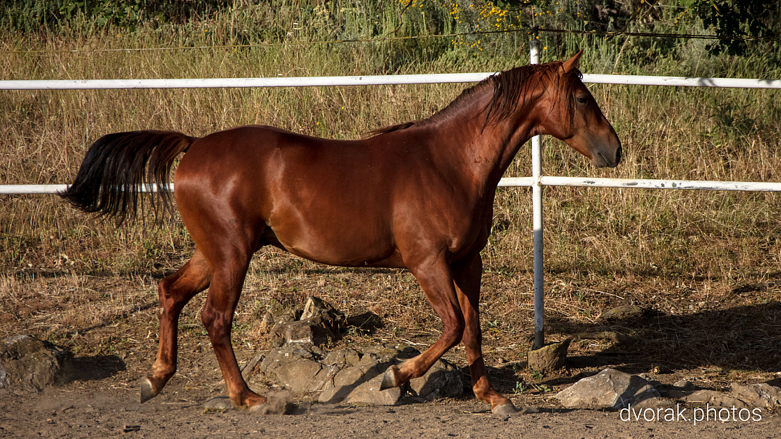 20220606192810 018891