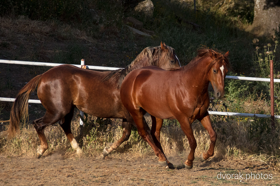 20220606192832 018899