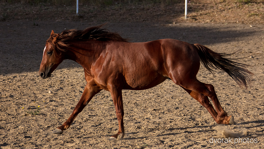 20220606192836 018910