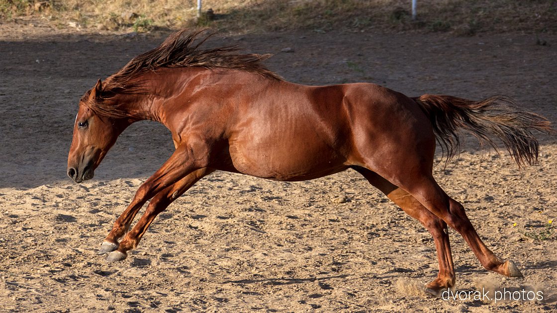 20220606192837 018911