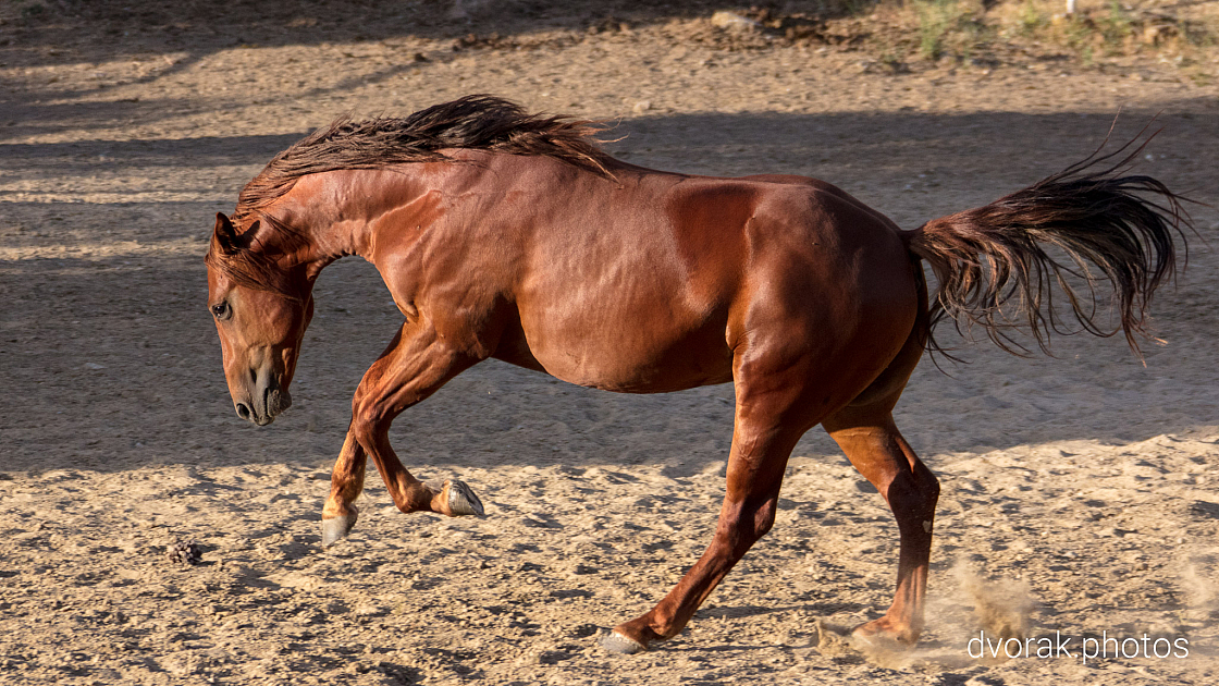 20220606192837 018912