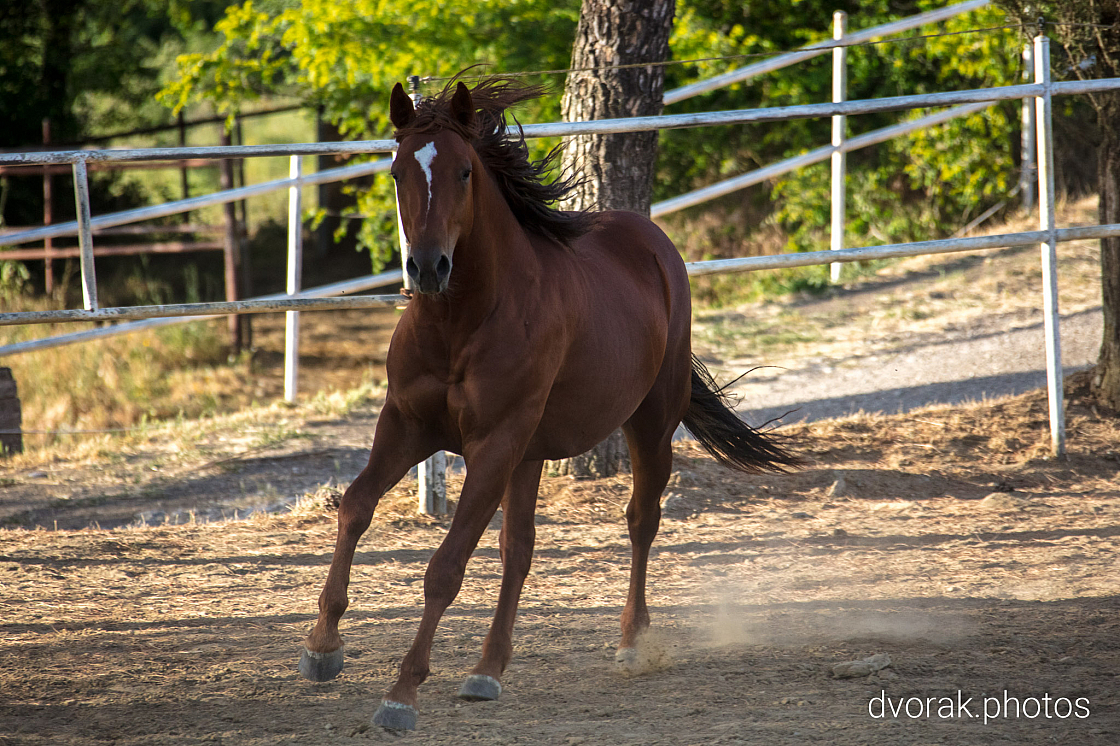 20220606192852 018921