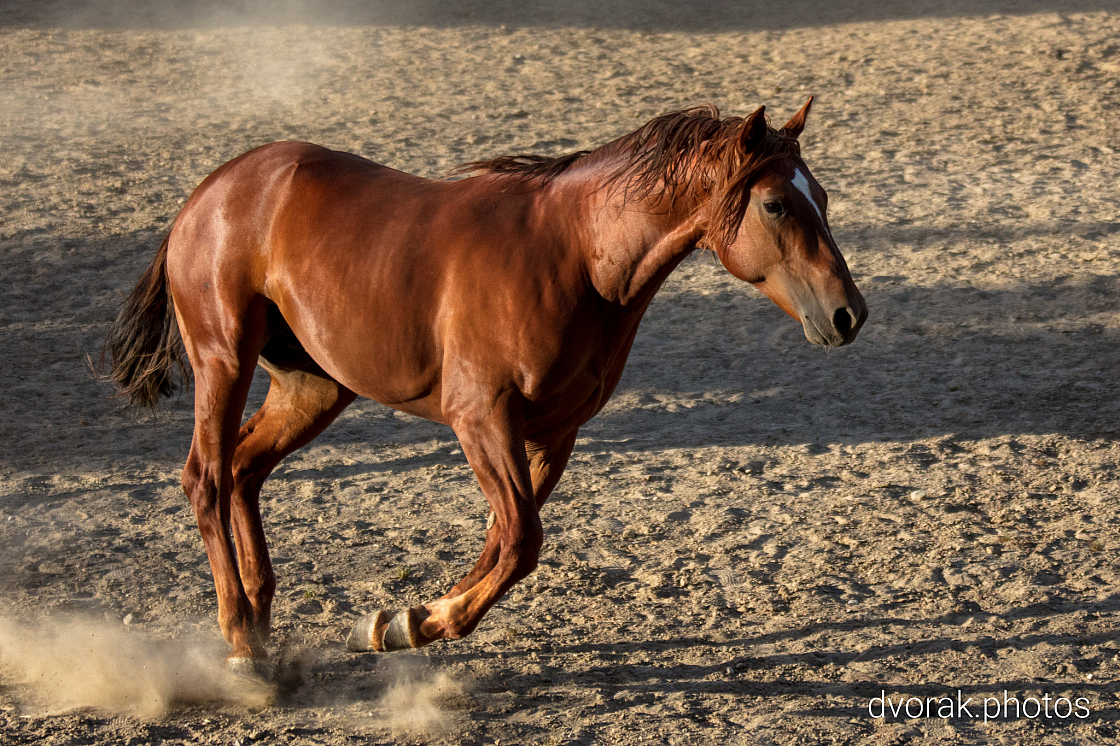 20220606192855 018928