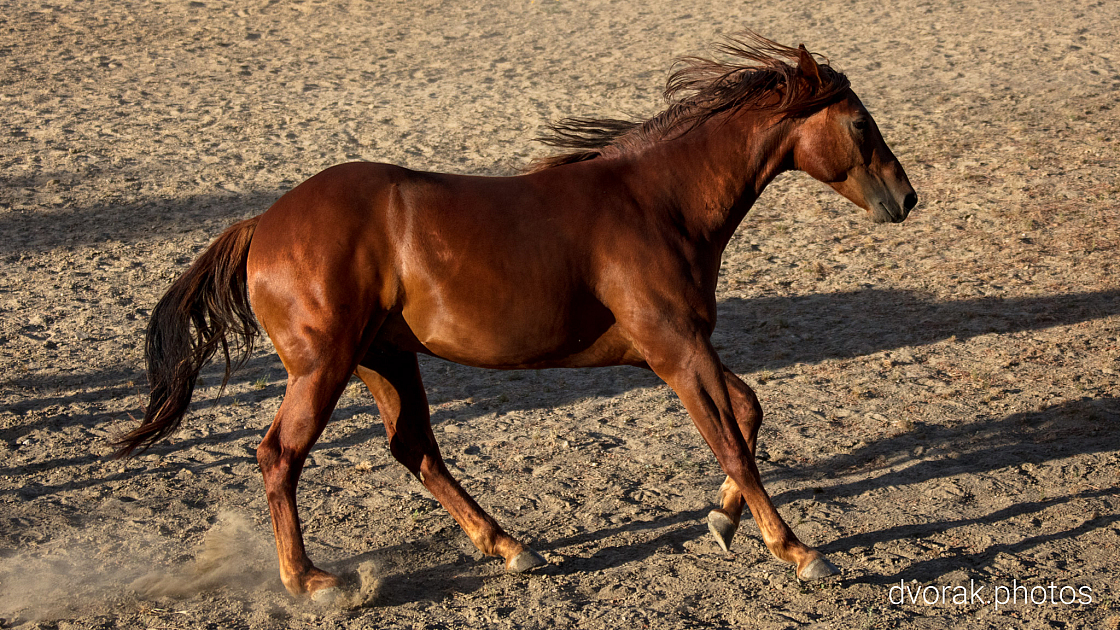 20220606192856 018930