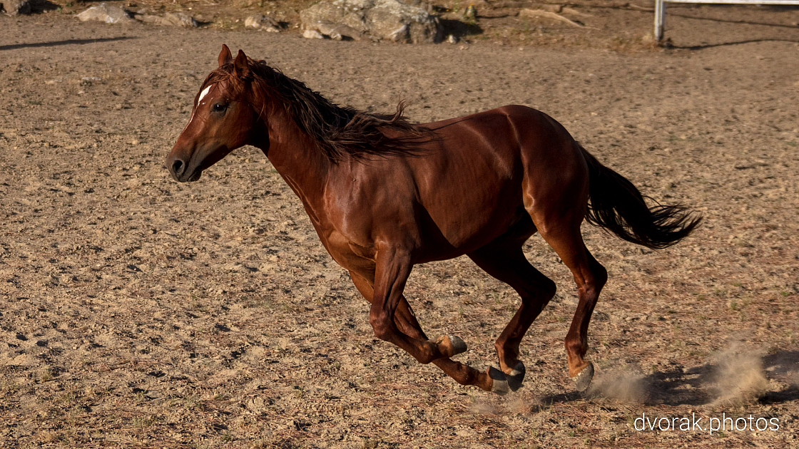 20220606192921 018943