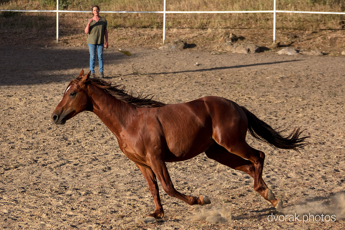 20220606192921 018944