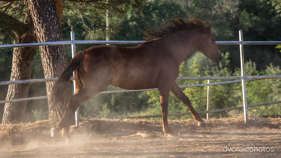 20220606192928 018959