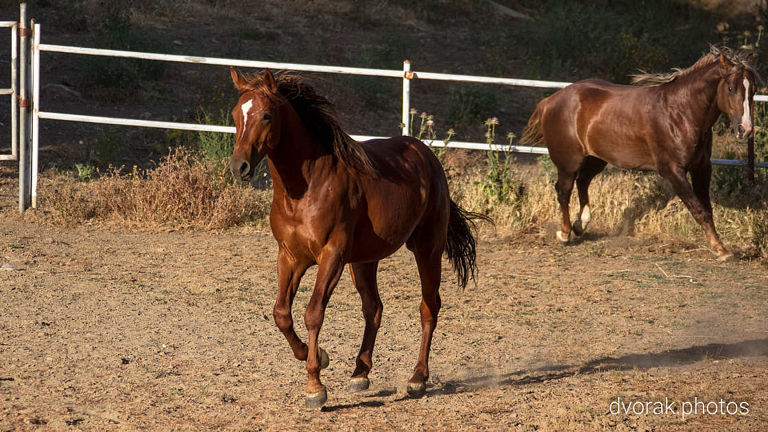 20220606193028 018996