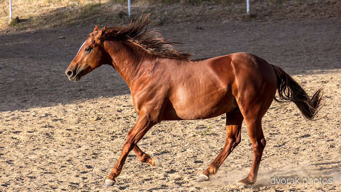 20220606193030 019002