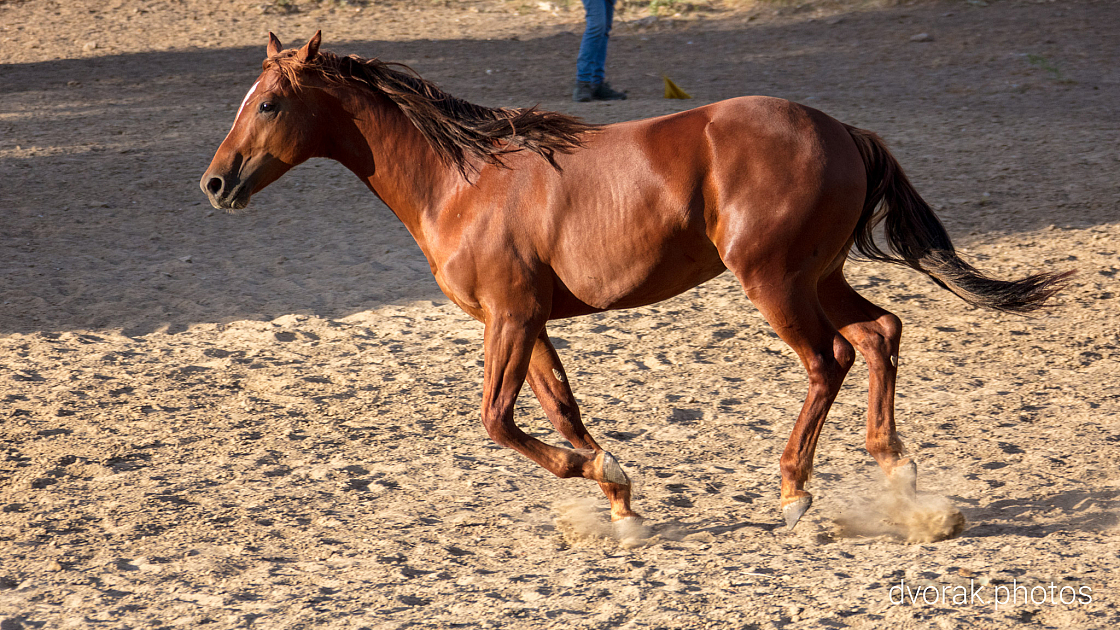 20220606193031 019003