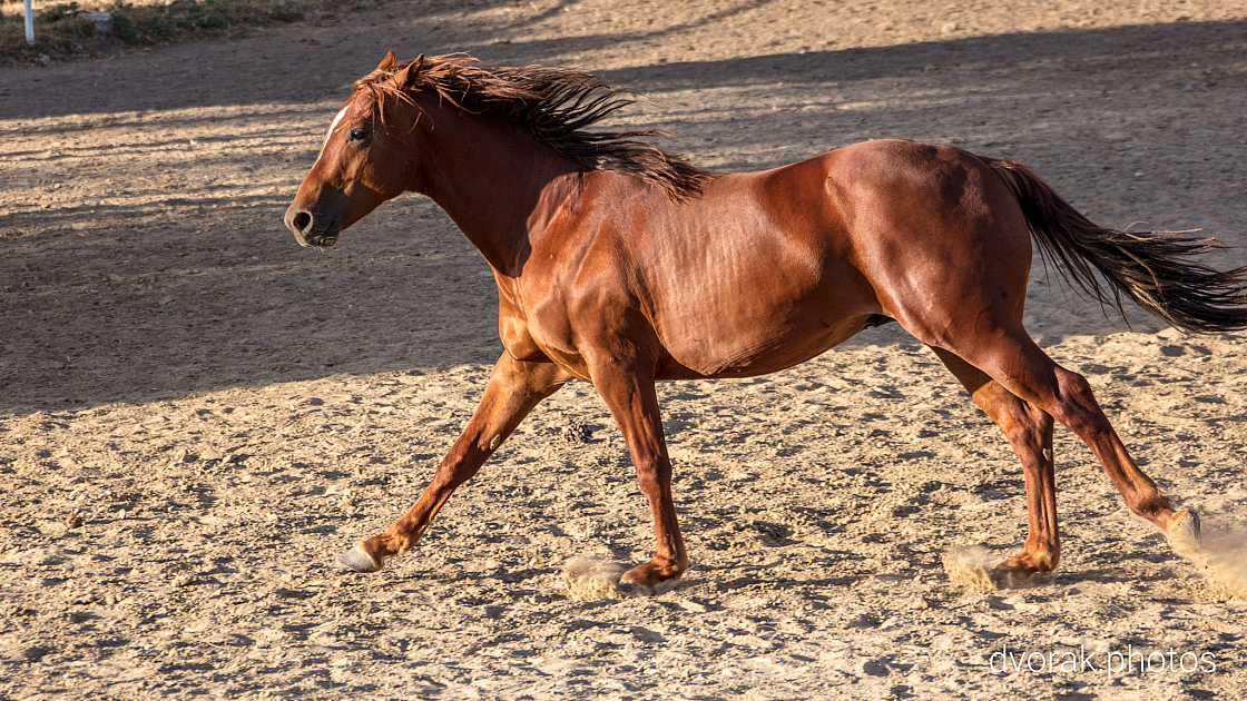 20220606193031 019004