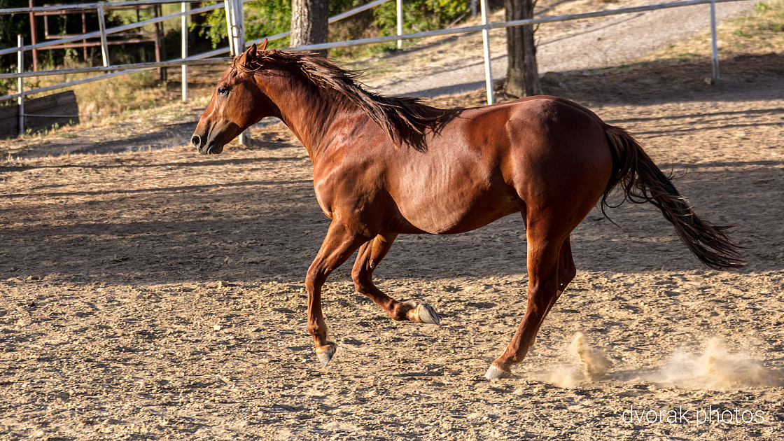 20220606193032 019006