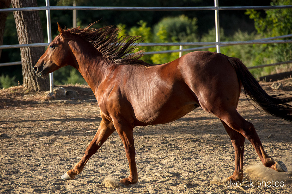 20220606193033 019007