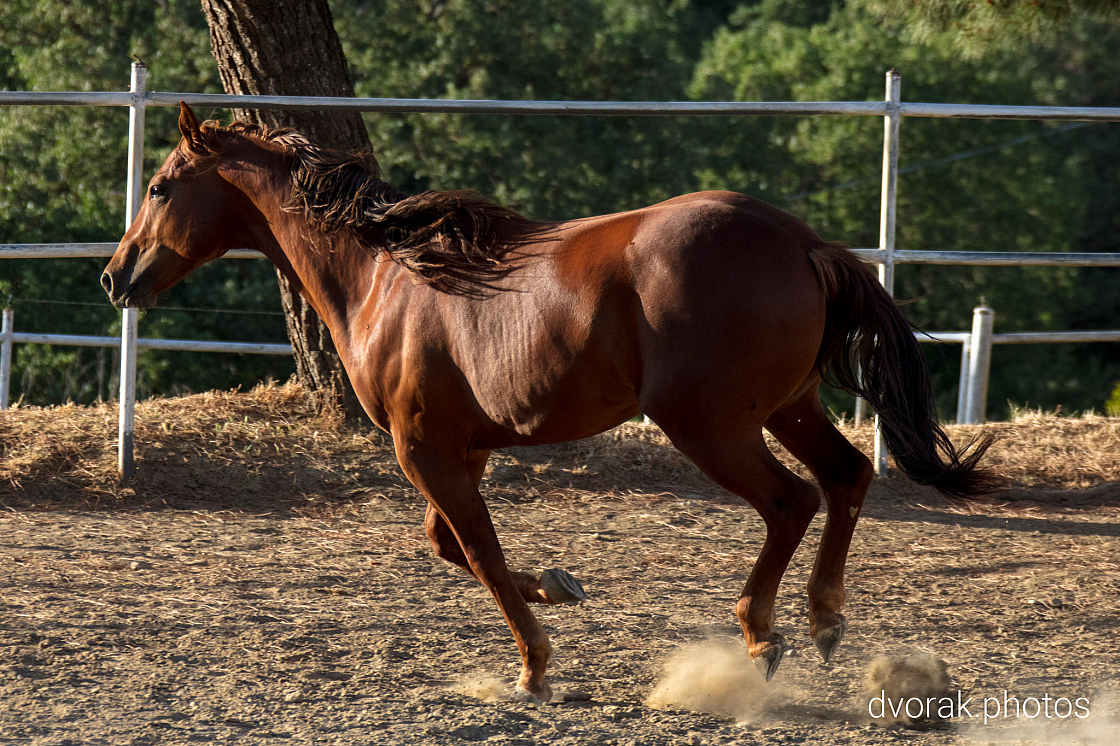 20220606193033 019008