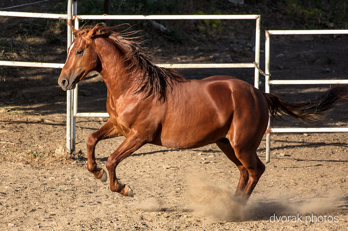 20220606193126 019027