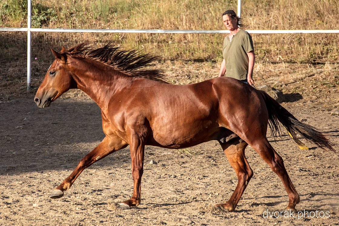 20220606193128 019033