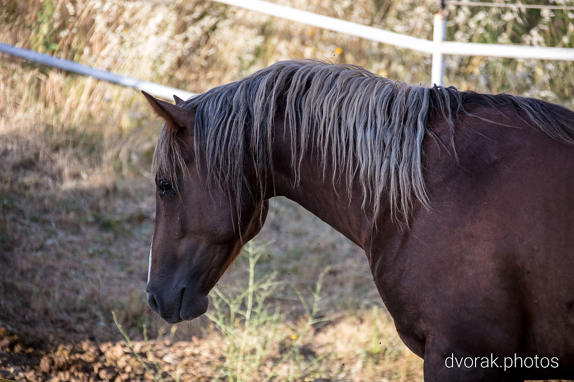 20220606193249 019035