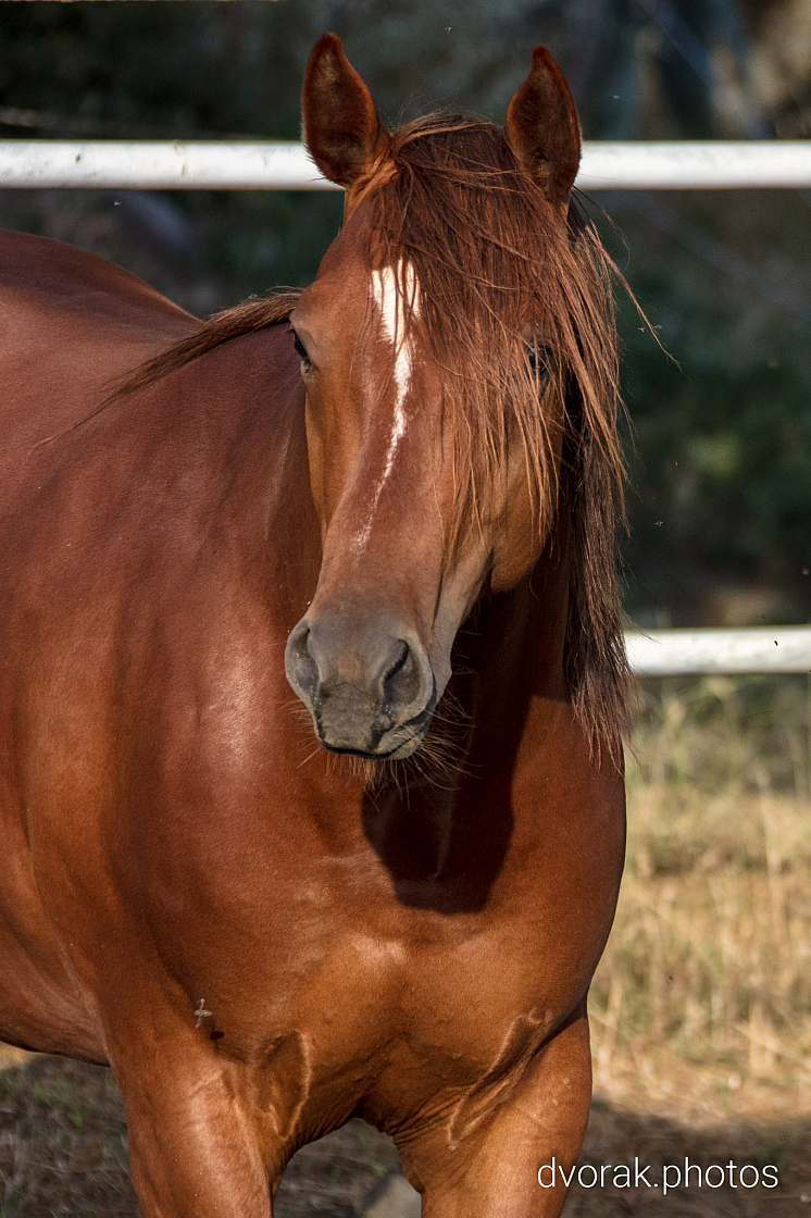 20220606193426 019051