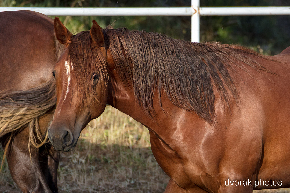 20220606193427 019053