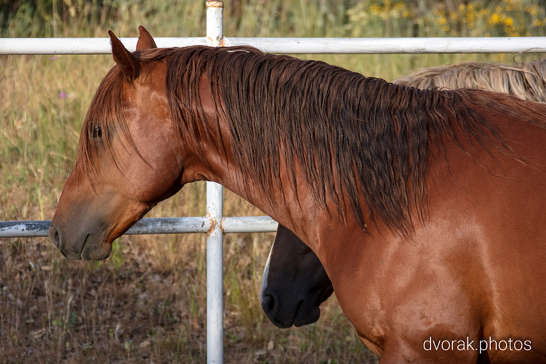 20220606193430 019056