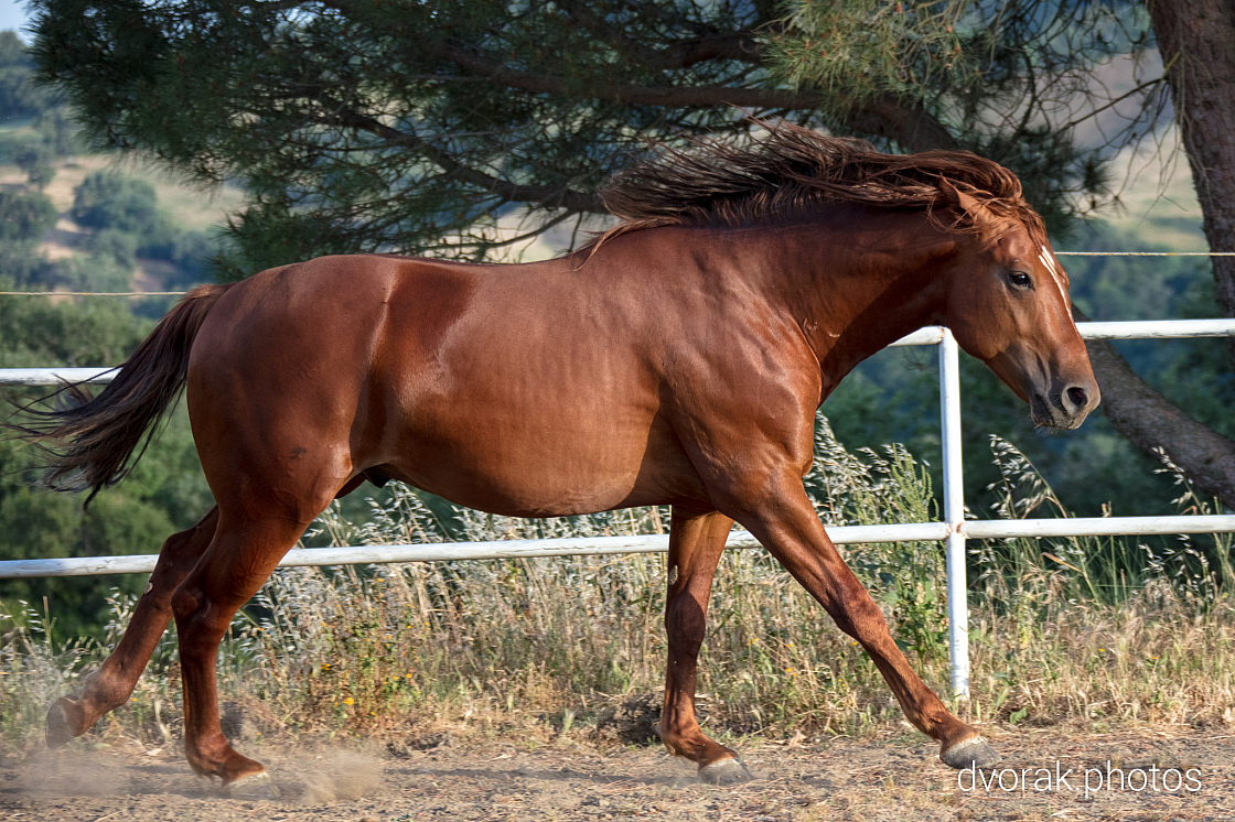 20220606193500 019059