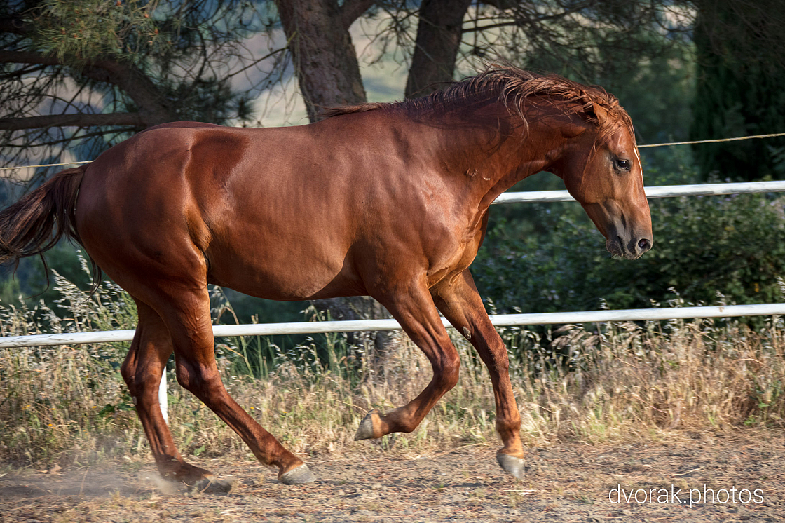 20220606193500 019060