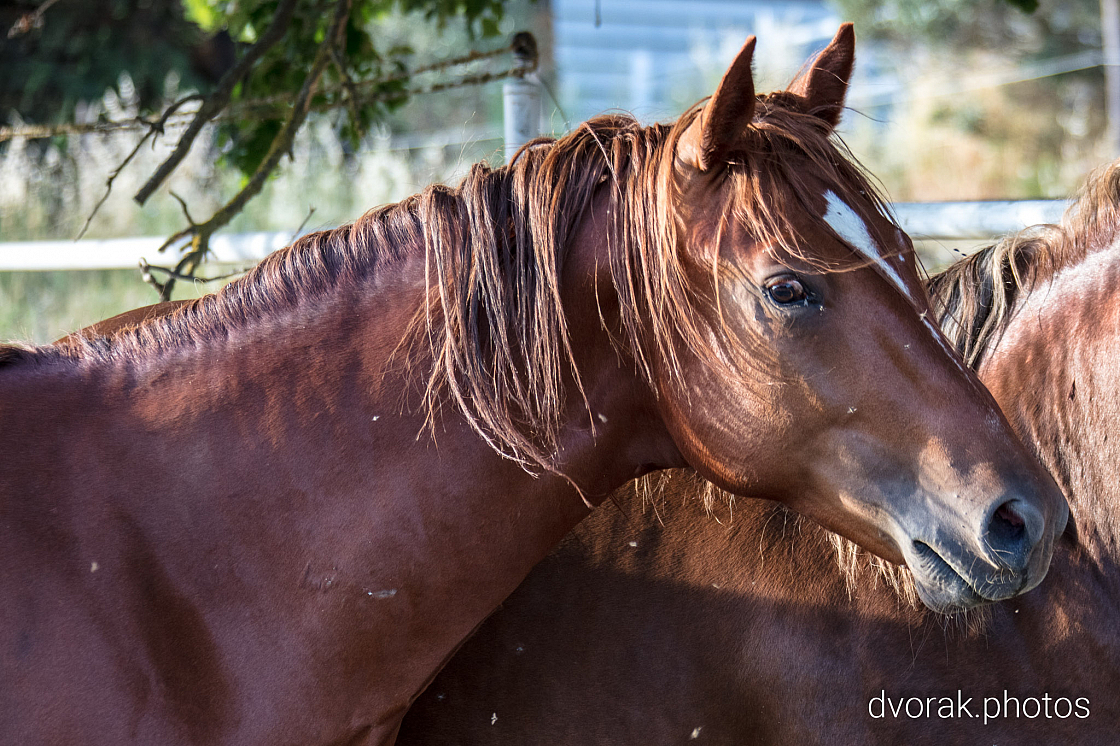 20220606193633 019101