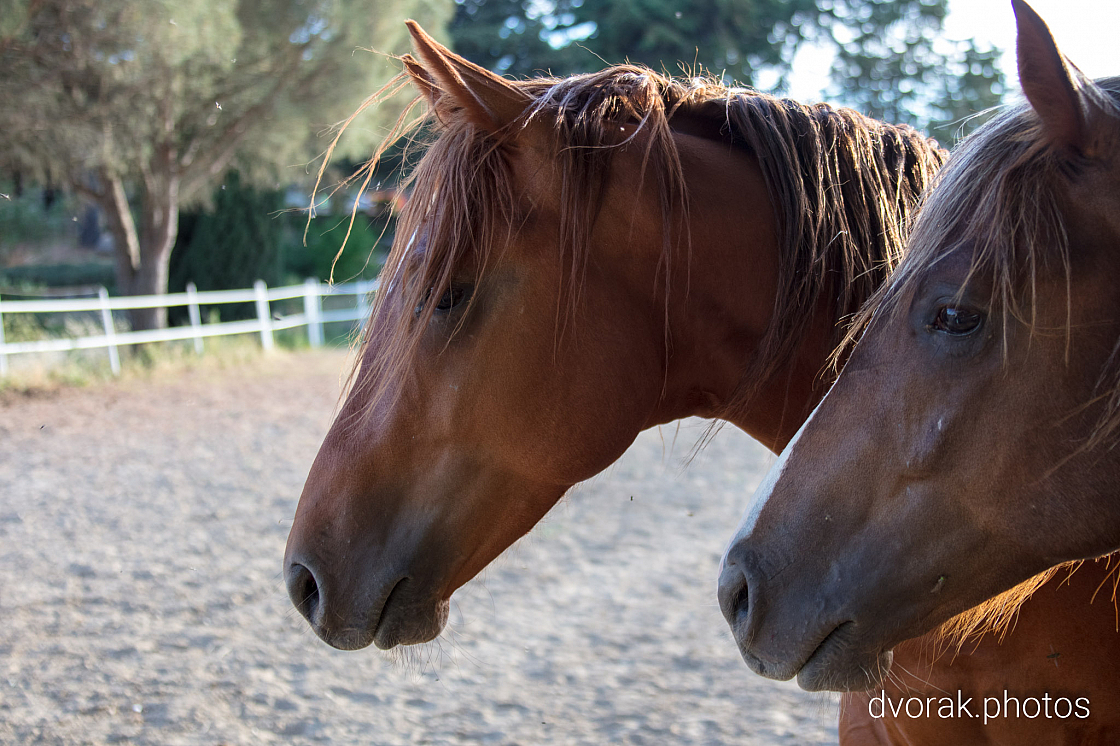 20220606193709 019111