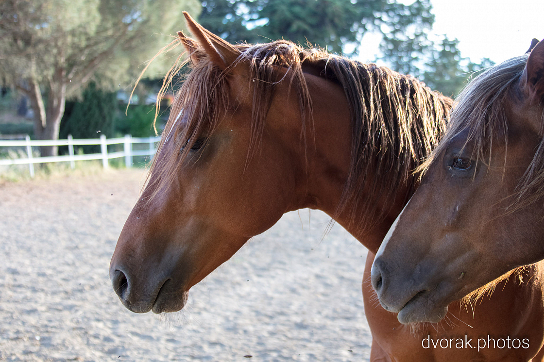 20220606193710 019113