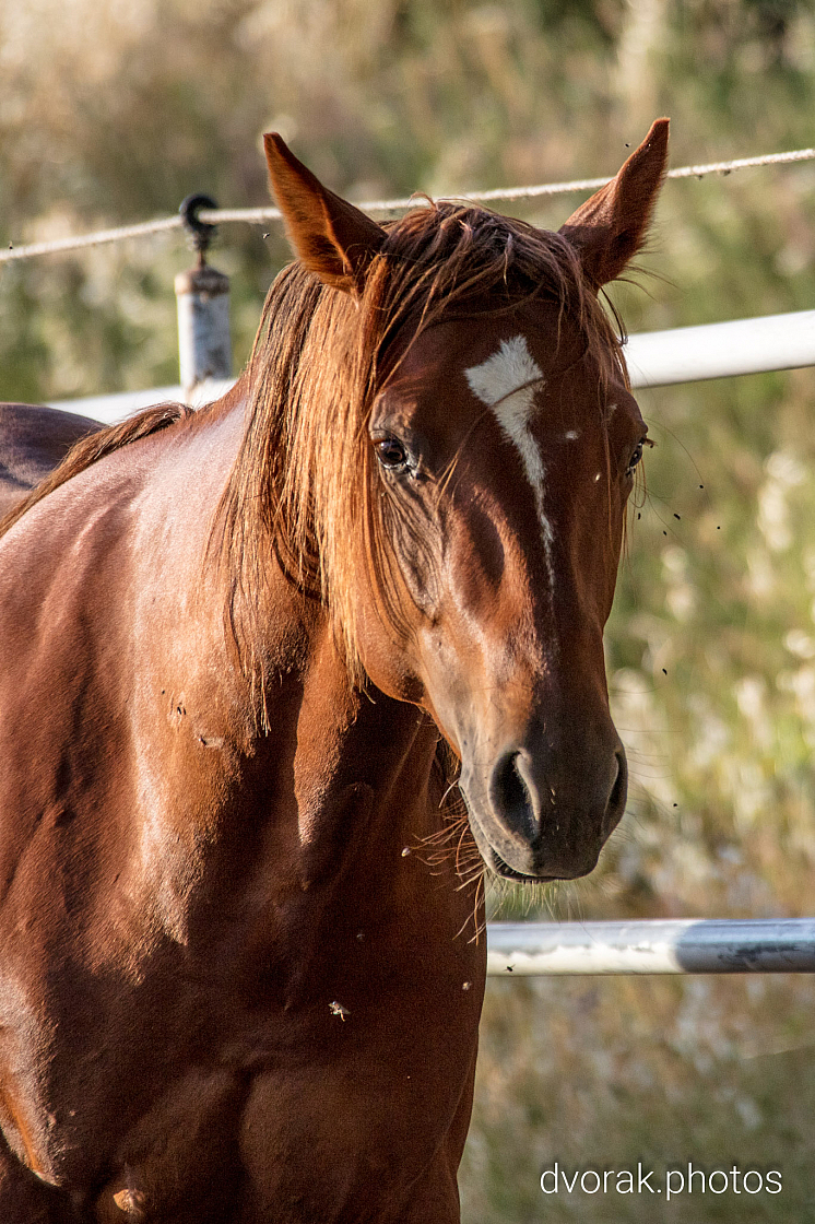 20220606193843 019125